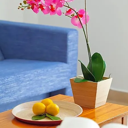 فندق Paloma